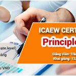 ICAEW CFAB - Principle of tax