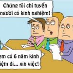 Lý giải hiện tượng thất nghiệp hàng loạt của sinh viên kế toán mới ra trường hiện nay