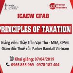 ICAEW CFAB Principle of Taxation