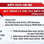 Kiểm toán nội bộ - mảng tài chính
