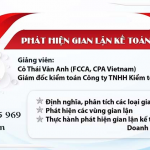 Kiem toan noi bo - phat hien gian lan trong ke toan