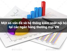 Một số vấn đề về hệ thống kiểm soát nội bộ tại các ngân hàng thương mại Việt Nam