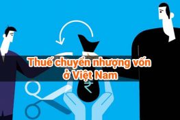 một số vấn đề về thuế chuyển nhượng vốn ở Việt Nam hiện nay