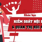 kiem soat noi bo - Quan tri rui ro